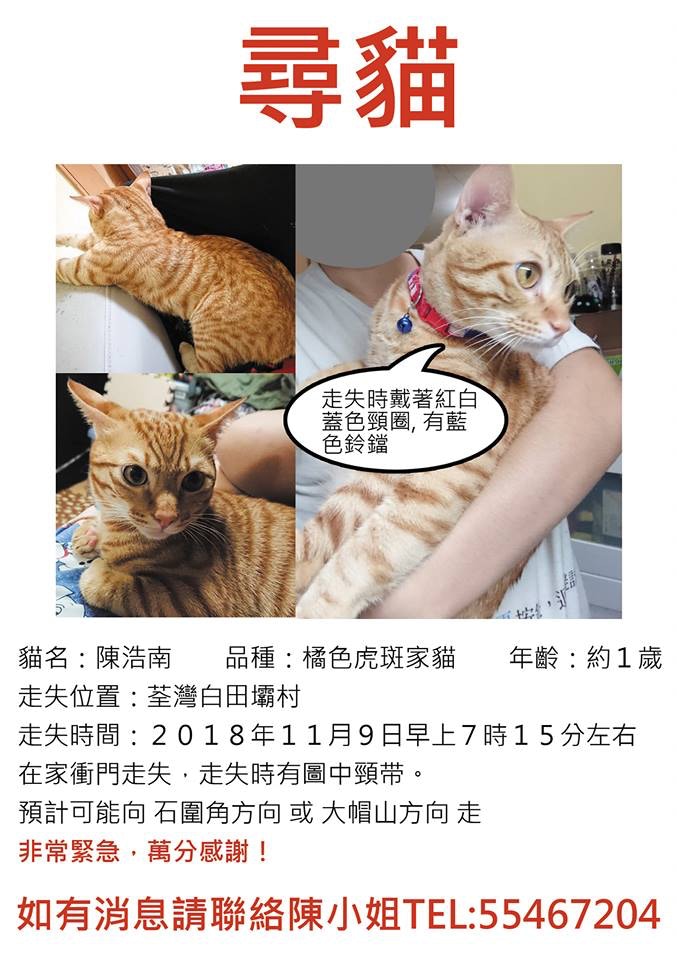 「陳浩南」日前(9日)奪門而出後失蹤。(受訪者提供) 「陳浩南」日前(9日)奪門而出後失蹤。(受訪者提供)