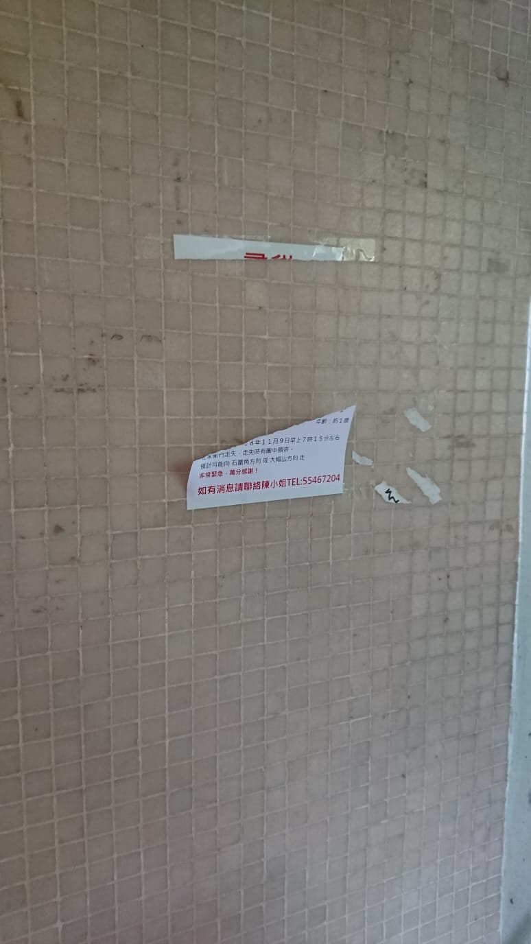 陳小姐最近發現多張街招都被惡意撕毀。(受訪者提供) 陳小姐最近發現多張街招都被惡意撕毀。(受訪者提供)