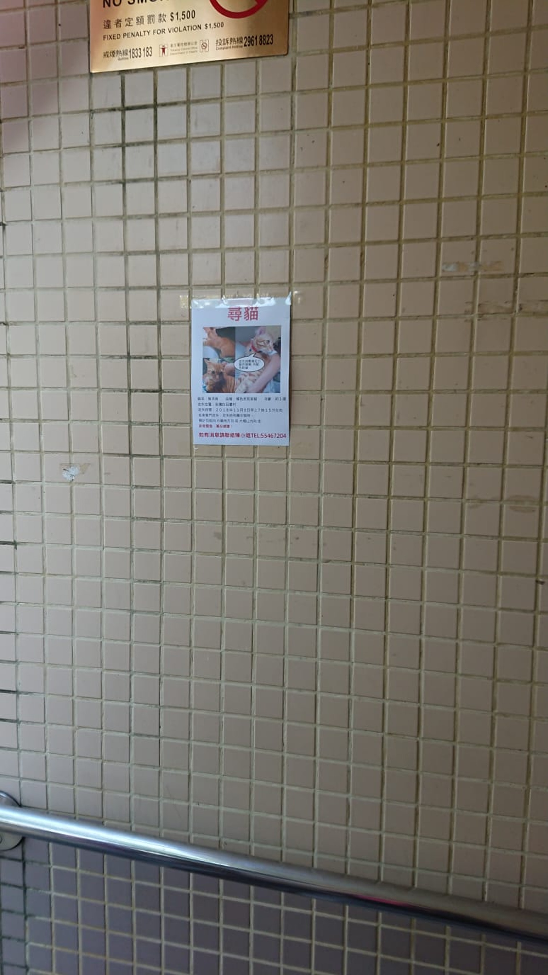 她們於荃灣一帶廣貼街招,連遠至城門水塘亦有張貼。(受訪者提供) 她們於荃灣一帶廣貼街招,連遠至城門水塘亦有張貼。(受訪者提供)