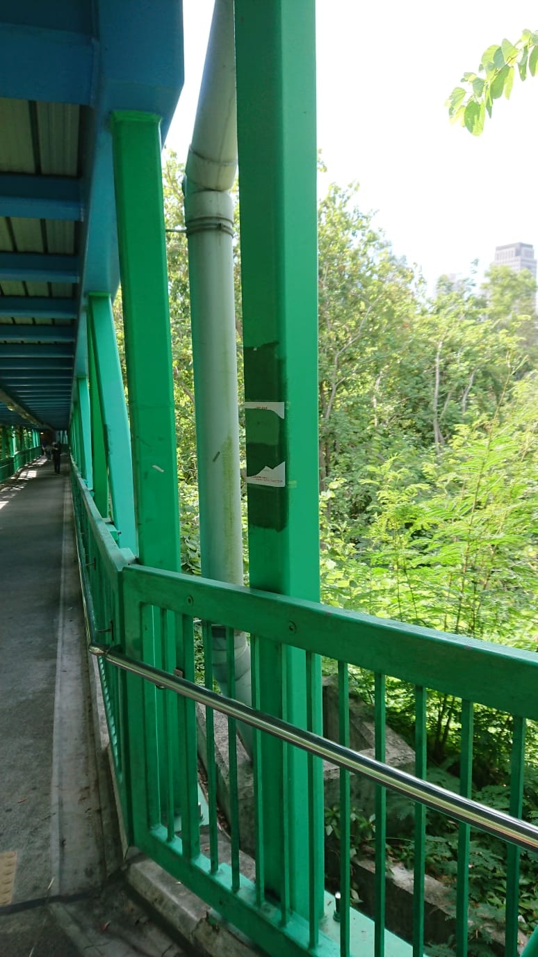 多張街招都被惡意撕毀。(受訪者提供) 多張街招都被惡意撕毀。(受訪者提供)