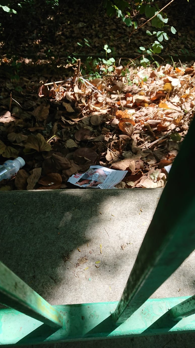 被撕毀的街招被隨意扔在地上。(受訪者提供) 被撕毀的街招被隨意扔在地上。(受訪者提供)