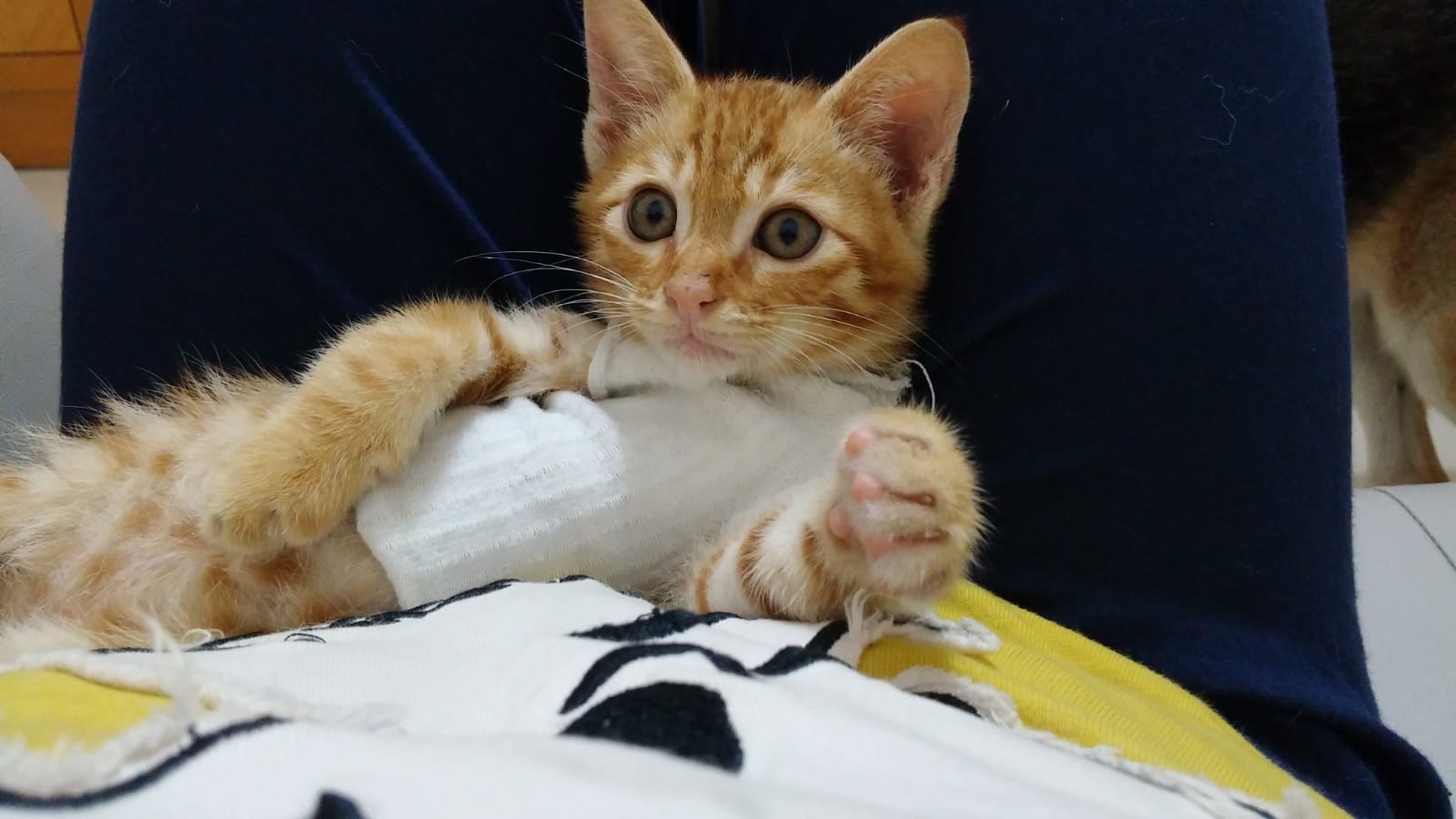 「陳浩南」年幼時。(受訪者提供) 「陳浩南」年幼時。(受訪者提供)