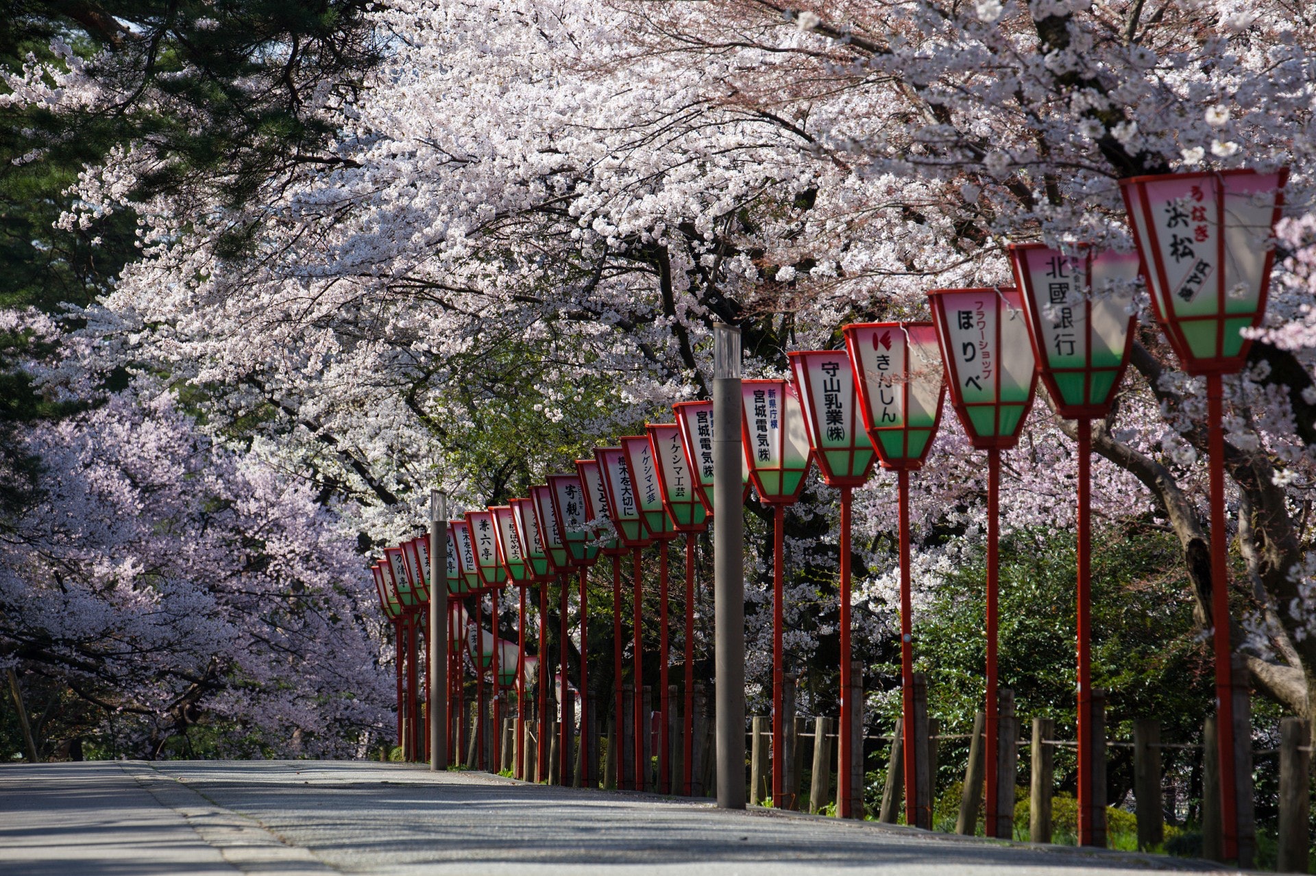 古意濃厚的兼六園,賞櫻、賞楓、賞雪都適合。(VCG) 古意濃厚的兼六園,賞櫻、賞楓、賞雪都適合。(VCG)
