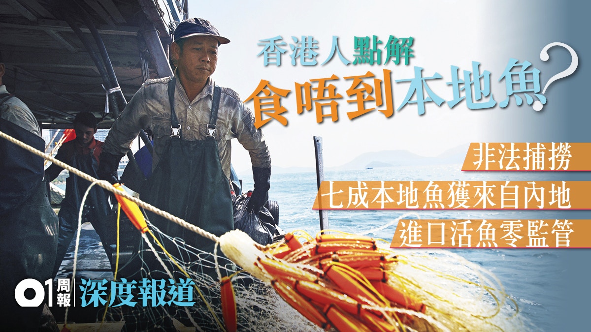 【環保海鮮．一】活魚進口零監管　為何十條都沒一條本地魚？