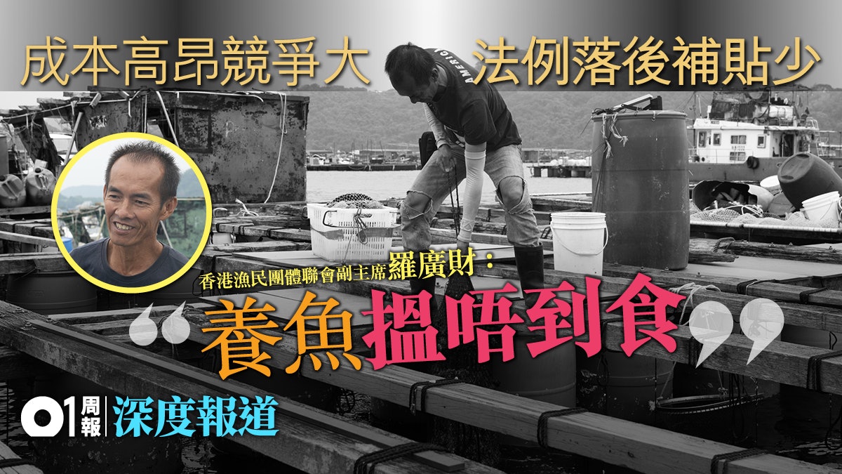 【環保海鮮.二】淡水養殖無牌照 海水養殖在末路 怎走出困局? 【環保海鮮.二】淡水養殖無牌照 海水養殖在末路 怎走出困局?