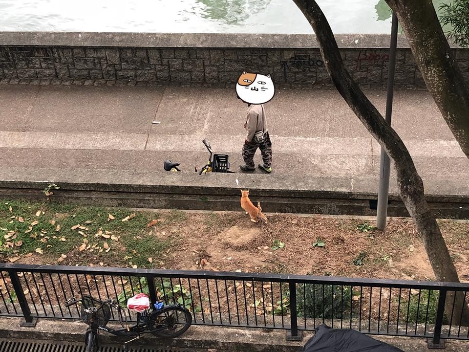 大埔有男子多年來釣魚餵流浪貓,其善心舉動獲網民讚賞。(facebook群組「Tai Po 大埔」圖片) 大埔有男子多年來釣魚餵流浪貓,其善心舉動獲網民讚賞。(facebook群組「Tai Po 大埔」圖片)