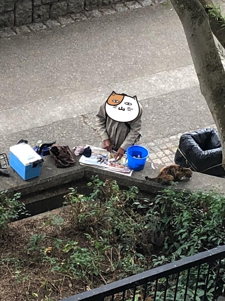 另有網民批評大叔餵流浪貓食生魚，或會害貓生蟲。（facebook群組「Tai Po 大埔」圖片）