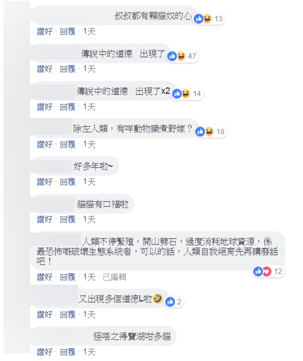 大叔分享魚穫餵食流浪貓一事,引起網民熱議。(facebook群組「Tai Po 大埔」截圖) 大叔分享魚穫餵食流浪貓一事,引起網民熱議。(facebook群組「Tai Po 大埔」截圖)