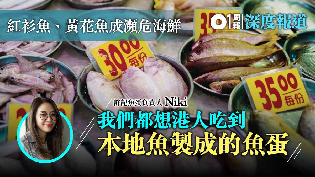 【環保海鮮.四】本地魚供應量少而不穩 飲食業想用也難以維持 【環保海鮮.四】本地魚供應量少而不穩 飲食業想用也難以維持