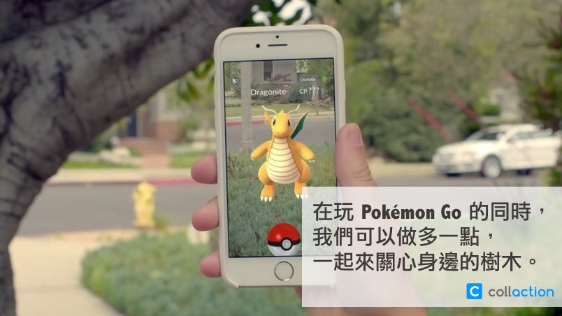 古樹!出嚟啦! 玩Pokemon GO同時賞樹 古樹!出嚟啦! 玩Pokemon GO同時賞樹