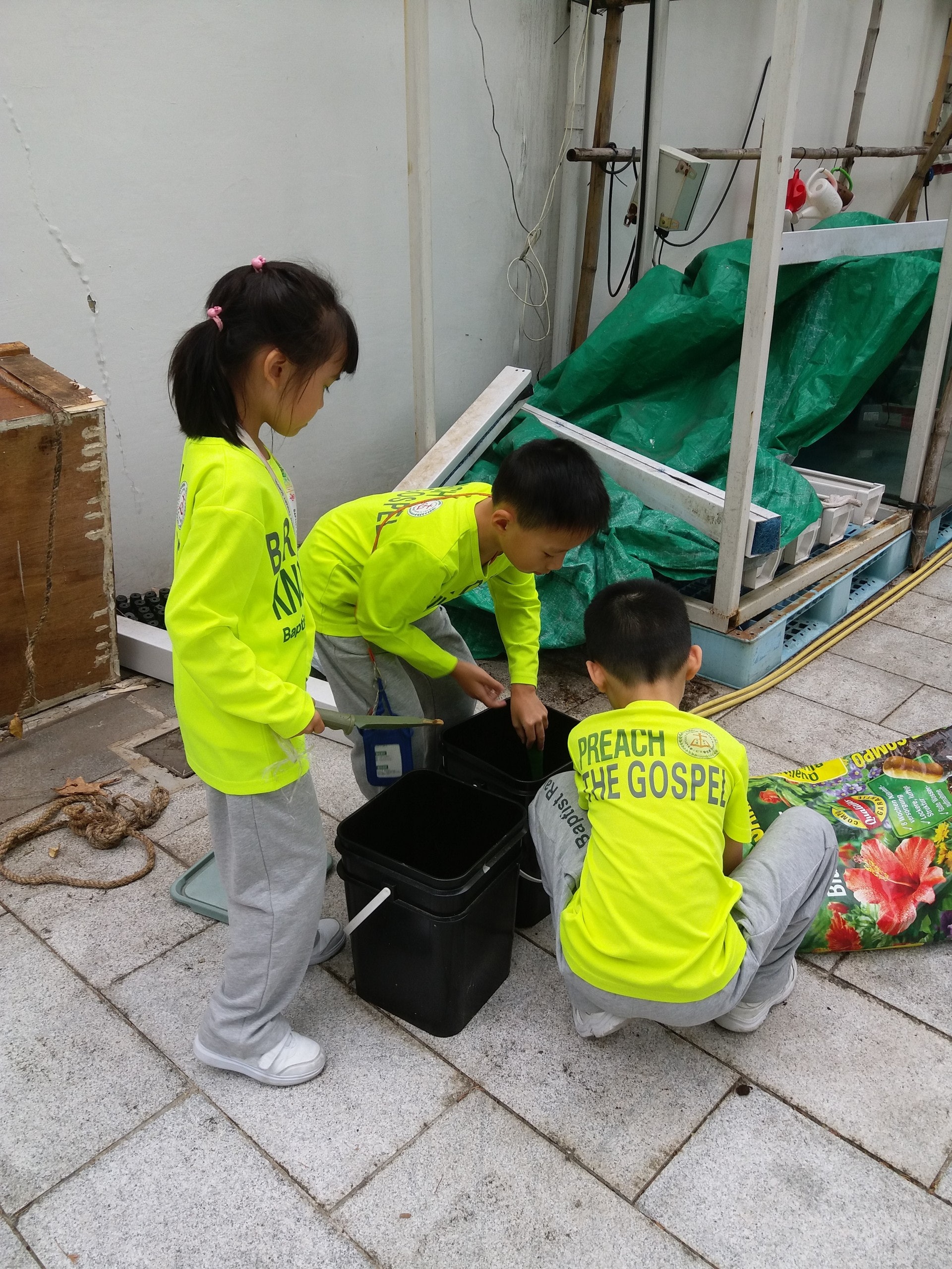 守護天虹植物隊。(浸信會天虹小學圖片) 守護天虹植物隊。(浸信會天虹小學圖片)