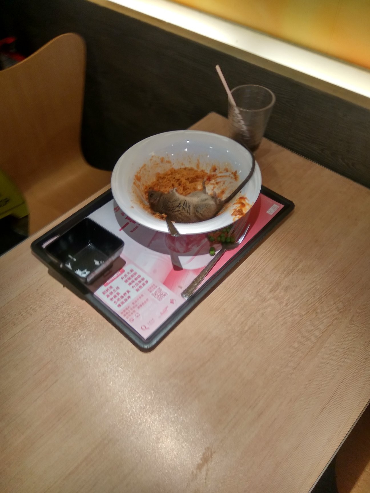 有網民稱在大家樂位於牛頭角的分店看到老鼠從天而降,跌在飯碗內。(fb群組「巴打絲打 Facebook Club」圖片) 有網民稱在大家樂位於牛頭角的分店看到老鼠從天而降,跌在飯碗內。(fb群組「巴打絲打 Facebook Club」圖片)