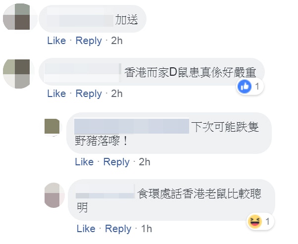 有人慨嘆「香港而家啲鼠患真係好嚴重」。(fb群組「巴打絲打 Facebook Club」截圖) 有人慨嘆「香港而家啲鼠患真係好嚴重」。(fb群組「巴打絲打 Facebook Club」截圖)