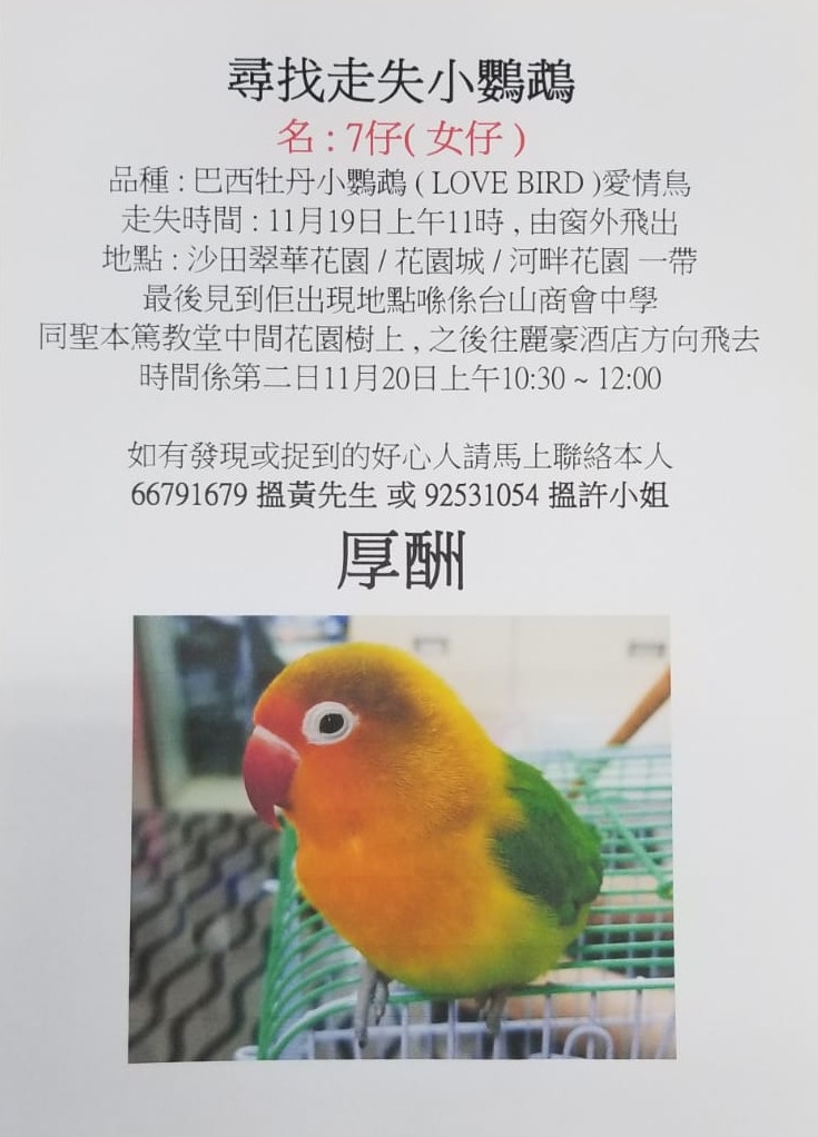 Jacky不惜在清晨時分出發尋鳥。(受訪者提供) Jacky不惜在清晨時分出發尋鳥。(受訪者提供)