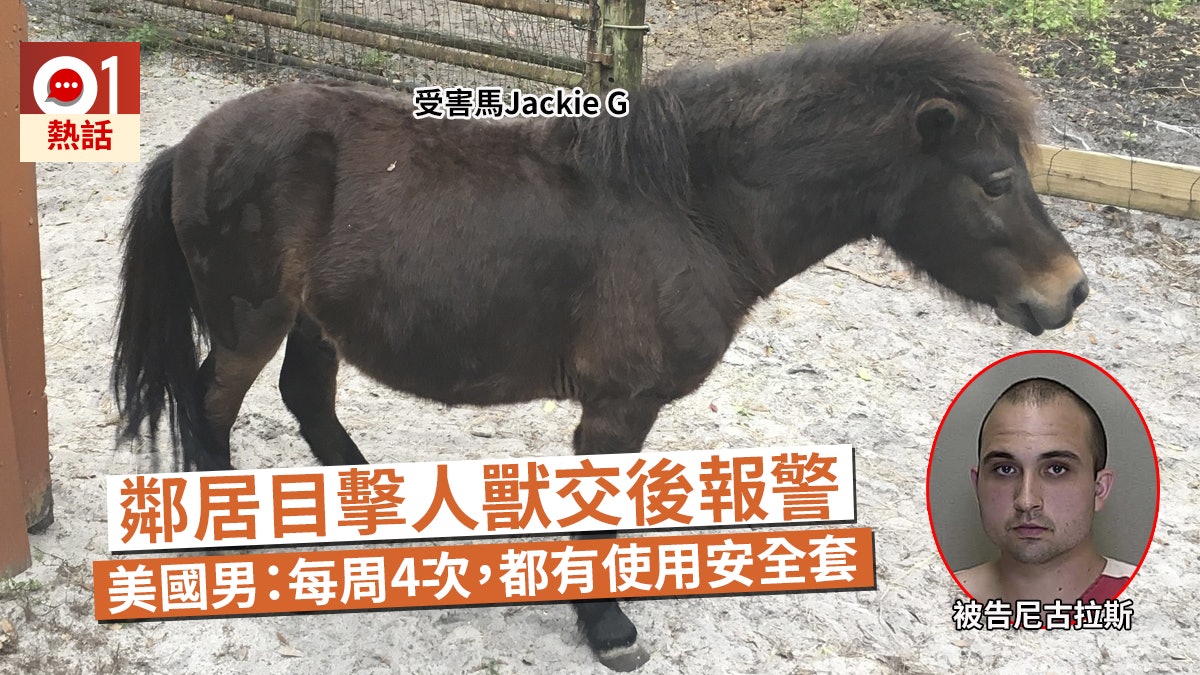 每周與迷你馬人獸交4次 美國男直認事件自稱有心理問題 每周與迷你馬人獸交4次 美國男直認事件自稱有心理問題
