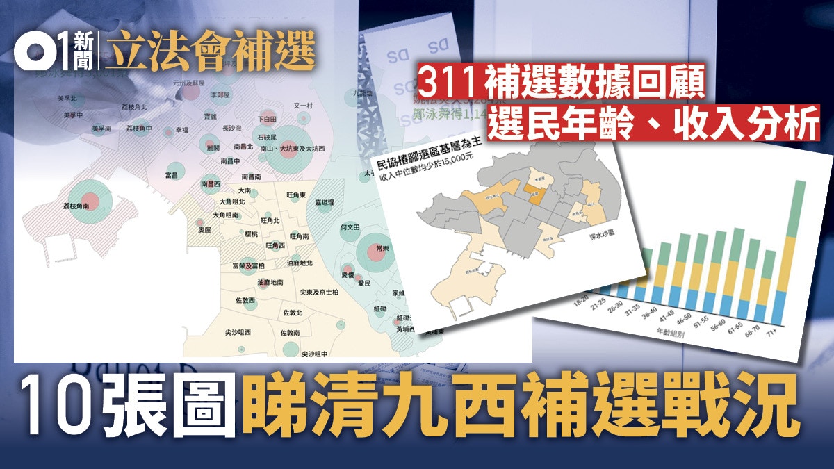 【九西補選】十張圖看清九龍西選民結構　關鍵字：基層、公屋