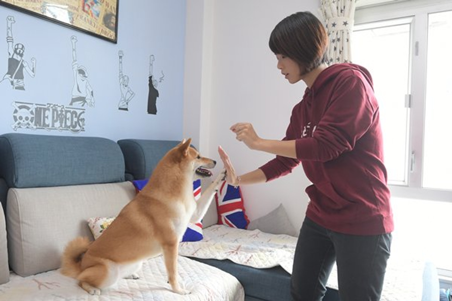 梁皓妤表示訓練課程對她甚有幫助,讓她知道Nami的性格屬於吃軟不吃硬,要運用不同指令控制牠。(政府新聞網) 梁皓妤表示訓練課程對她甚有幫助,讓她知道Nami的性格屬於吃軟不吃硬,要運用不同指令控制牠。(政府新聞網)