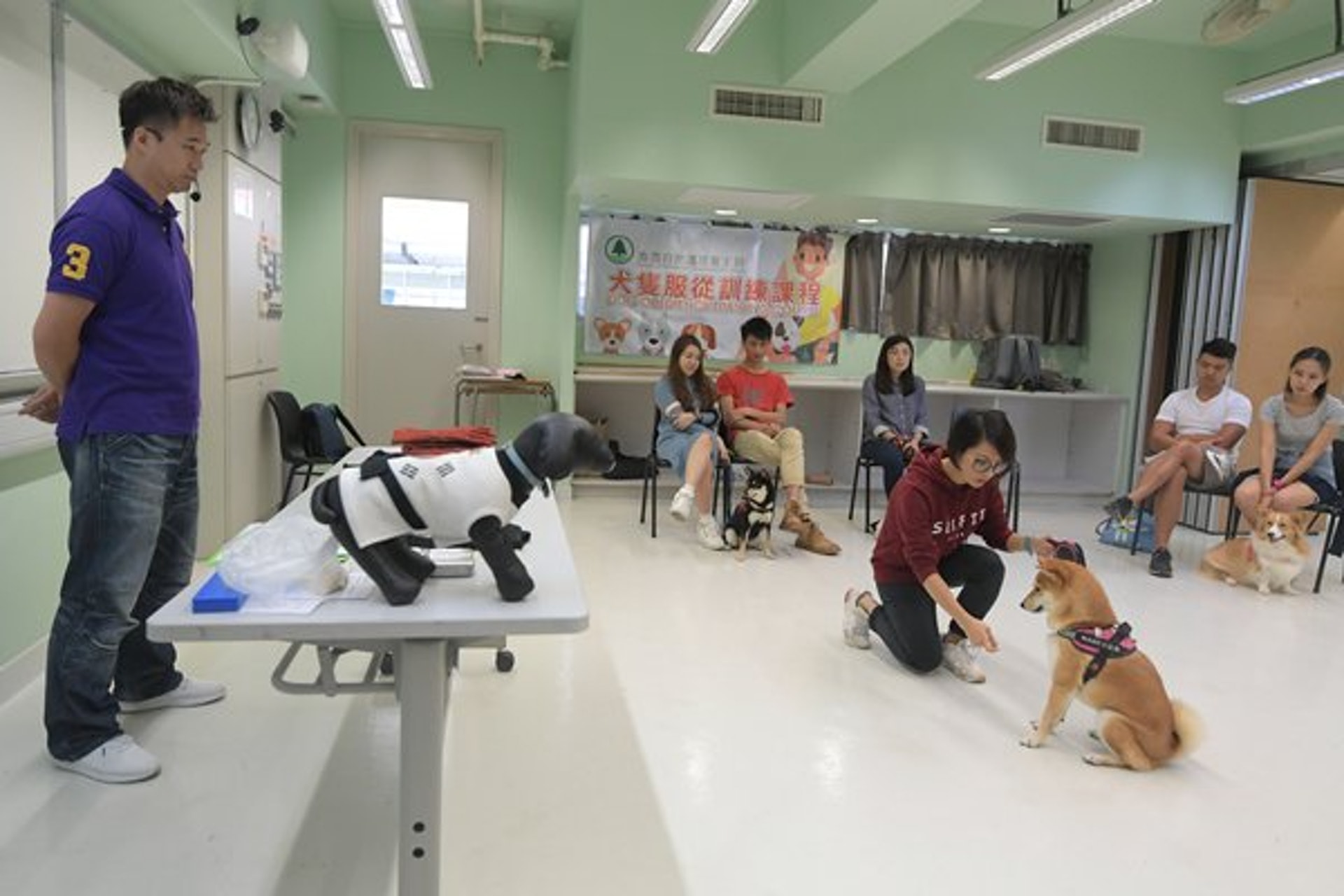 梁皓妤帶同愛犬Nami參加漁護署的犬隻服從訓練課程,學習改善狗隻行為問題。(政府新聞網) 梁皓妤帶同愛犬Nami參加漁護署的犬隻服從訓練課程,學習改善狗隻行為問題。(政府新聞網)