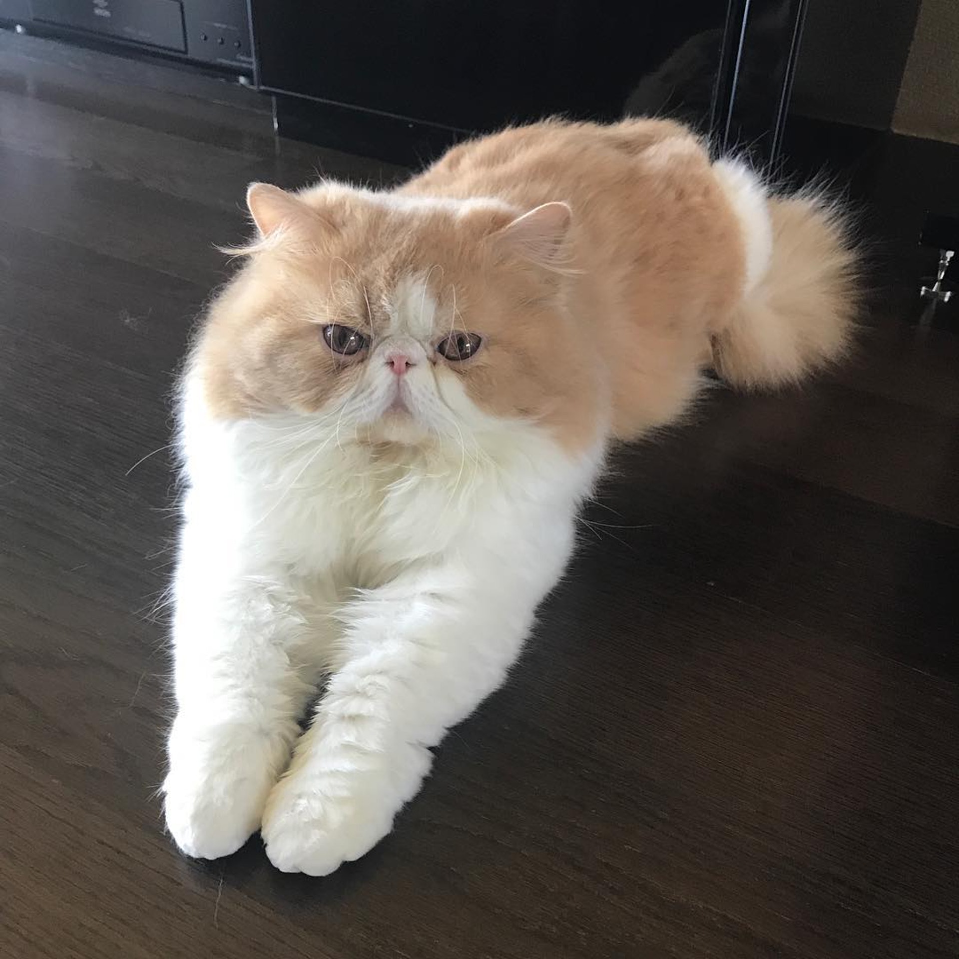 (IG圖片) (IG圖片)