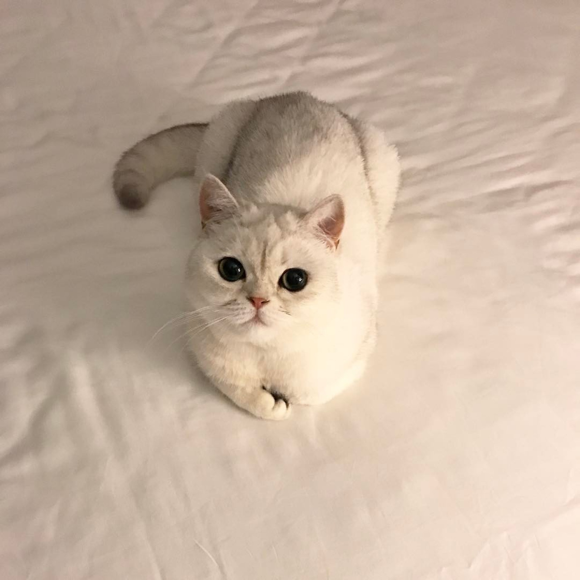 (IG圖片) (IG圖片)