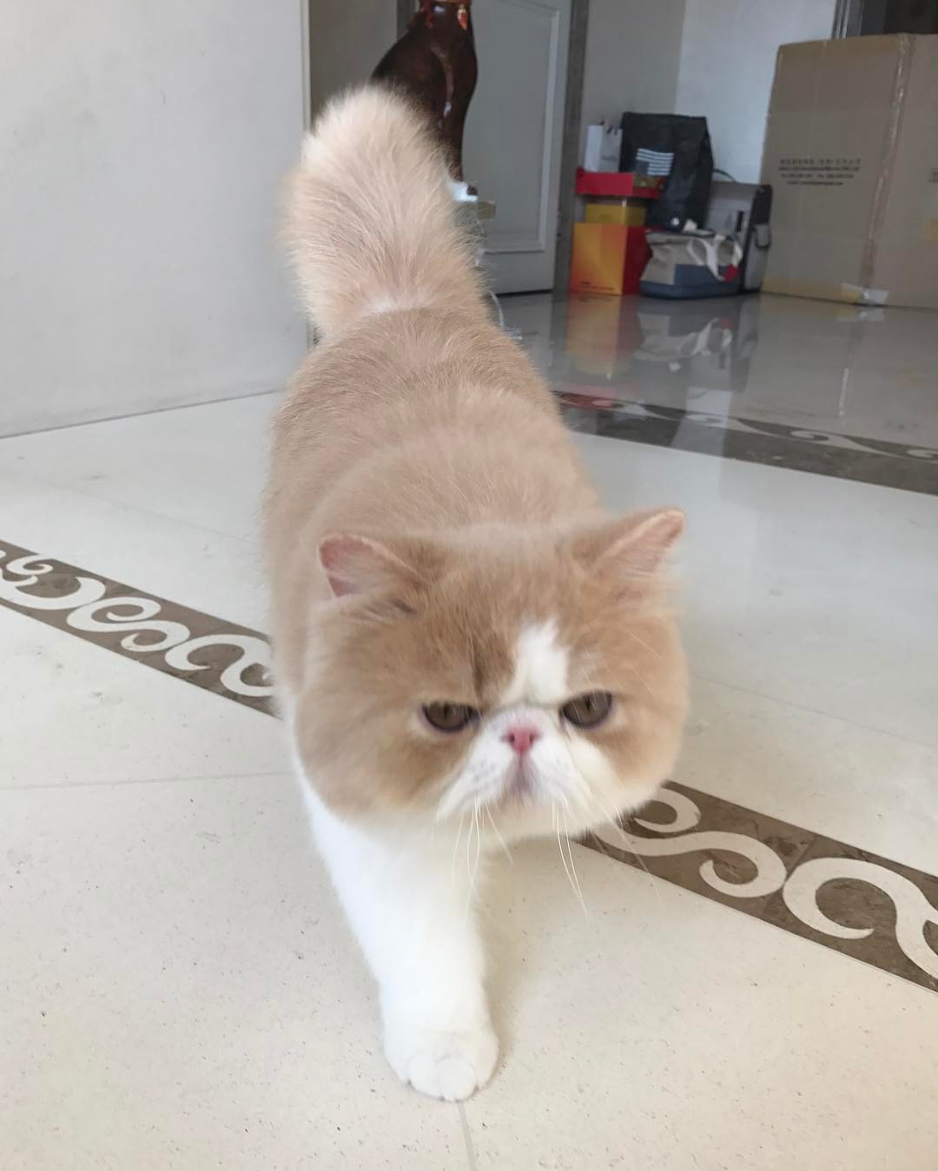 (IG圖片) (IG圖片)