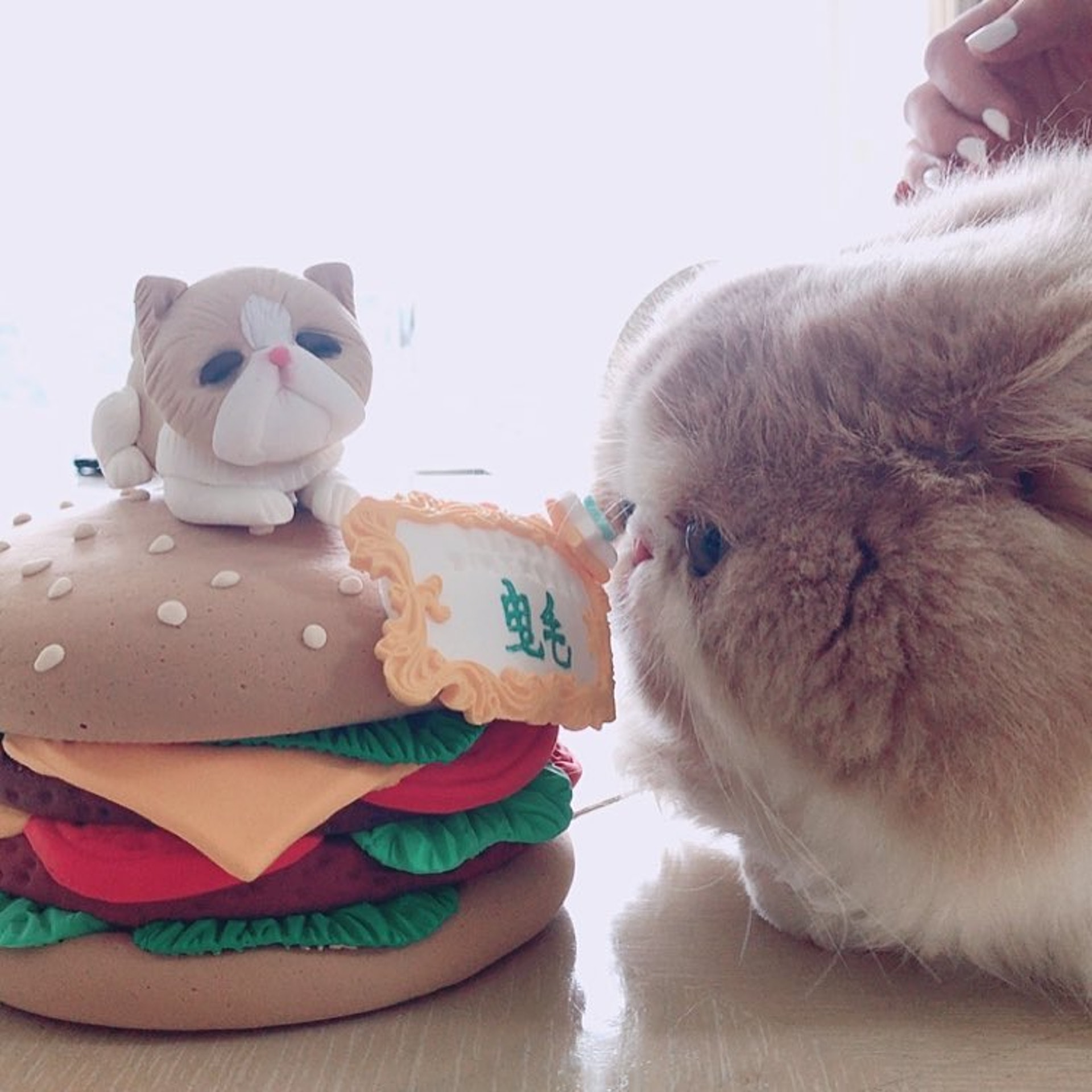 (IG圖片) (IG圖片)