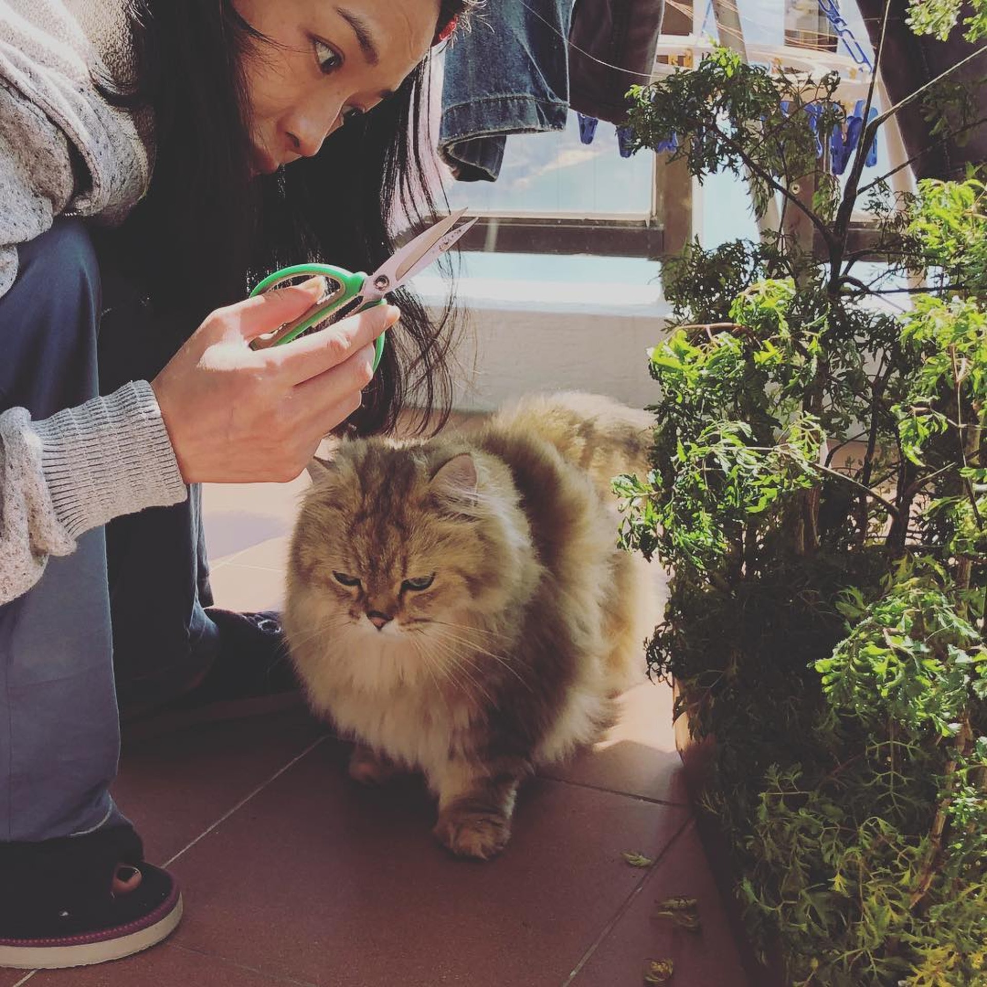 (IG圖片) (IG圖片)