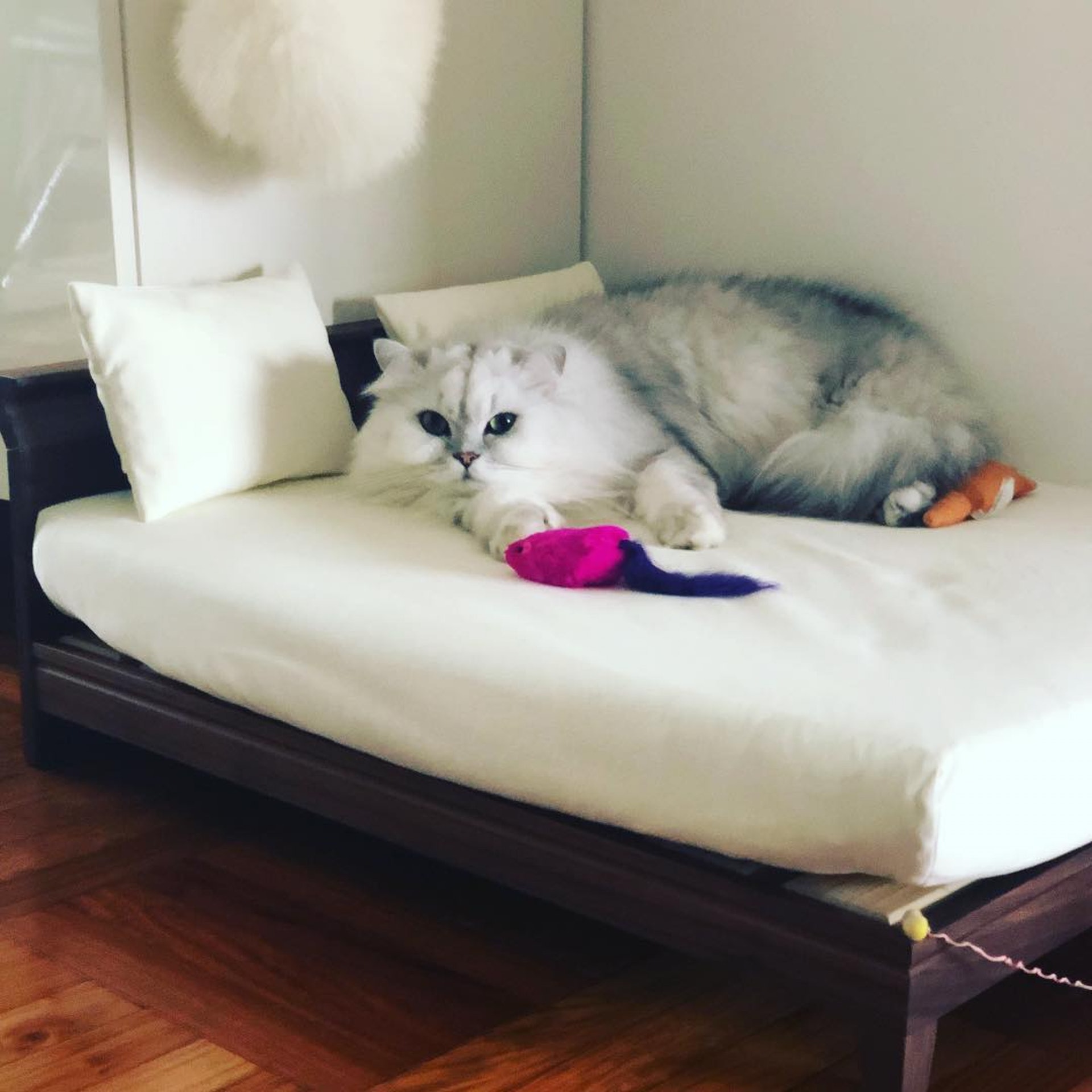 (IG圖片) (IG圖片)