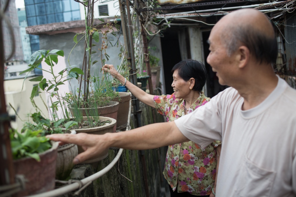 世界人居日 上 16載世外桃源老夫婦望一世住天台屋 世界人居日 上 16載世外桃源老夫婦望一世住天台屋