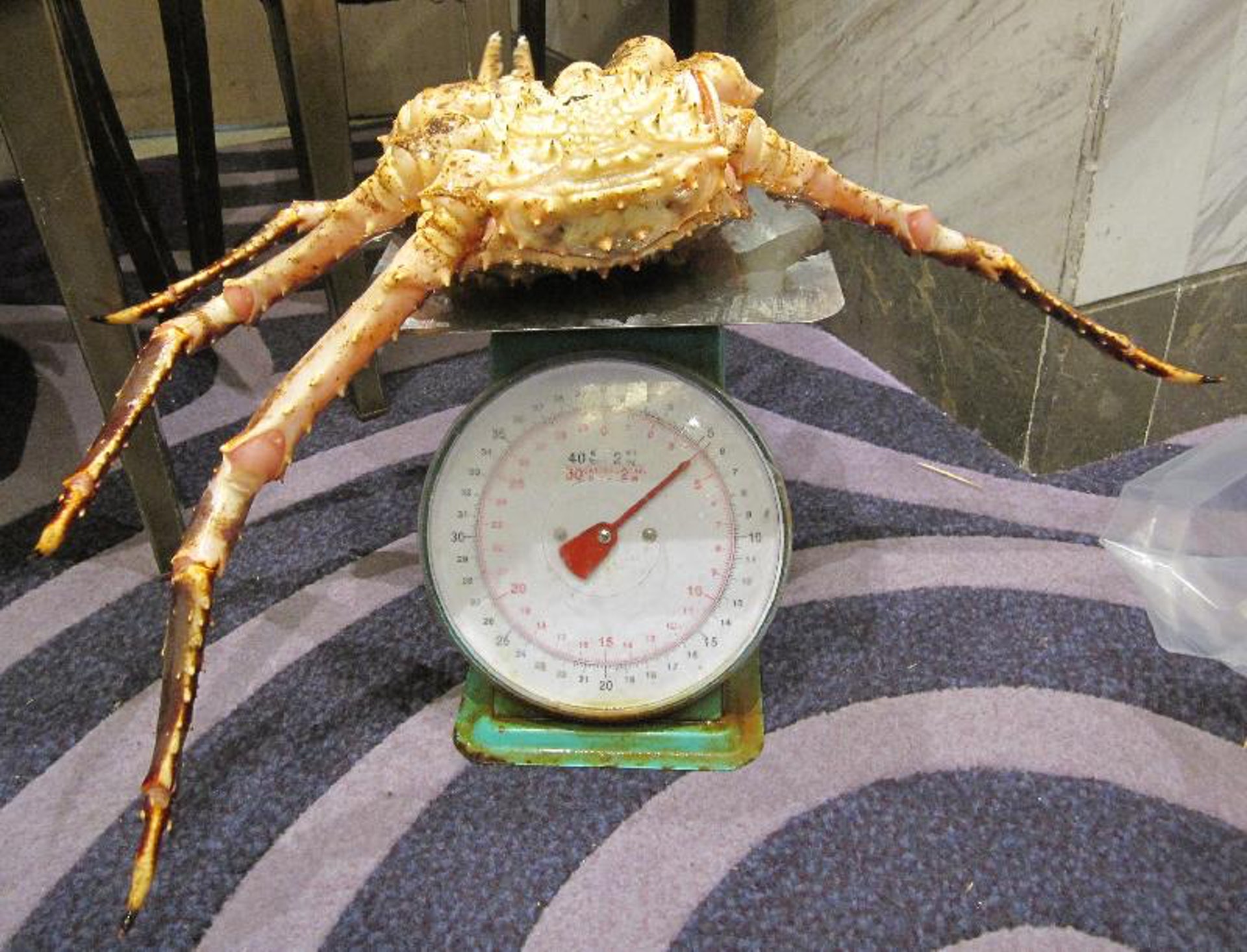 海關揭3食肆亞拉斯加蟹涉 呃枰 逾半斤其中一間彈簧秤不準確 香港01 社會新聞 海關揭3食肆亞拉斯加蟹涉 呃枰 逾半斤其中一間彈簧秤不準確 香港01 社會新聞