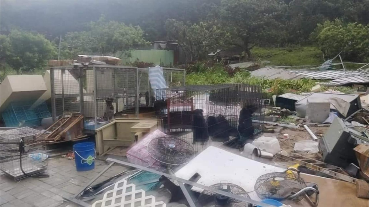 大埔元嶺狗場「老有所依動物村-洪家棣 」於風暴下亦受嚴重吹毀,狗場屋頂封蓋及室內設備無一倖免,一律吹到戶外。(老有所依動物村-洪家棣 - Tai) 大埔元嶺狗場「老有所依動物村-洪家棣 」於風暴下亦受嚴重吹毀,狗場屋頂封蓋及室內設備無一倖免,一律吹到戶外。(老有所依動物村-洪家棣 - Tai)