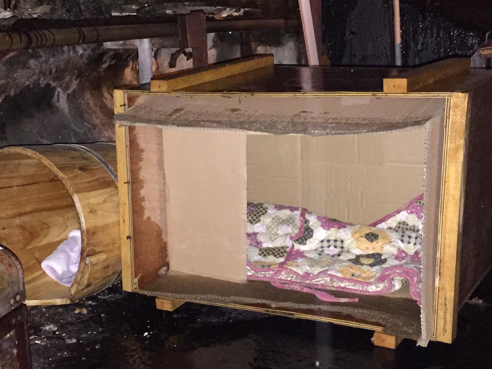 義工為深水埗的流浪貓狗搭建紙皮屋。(受訪者提供) 義工為深水埗的流浪貓狗搭建紙皮屋。(受訪者提供)