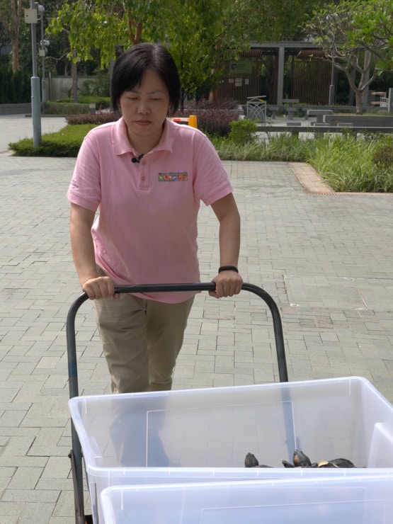 義工KENIS。(植加佑攝) 義工KENIS。(植加佑攝)