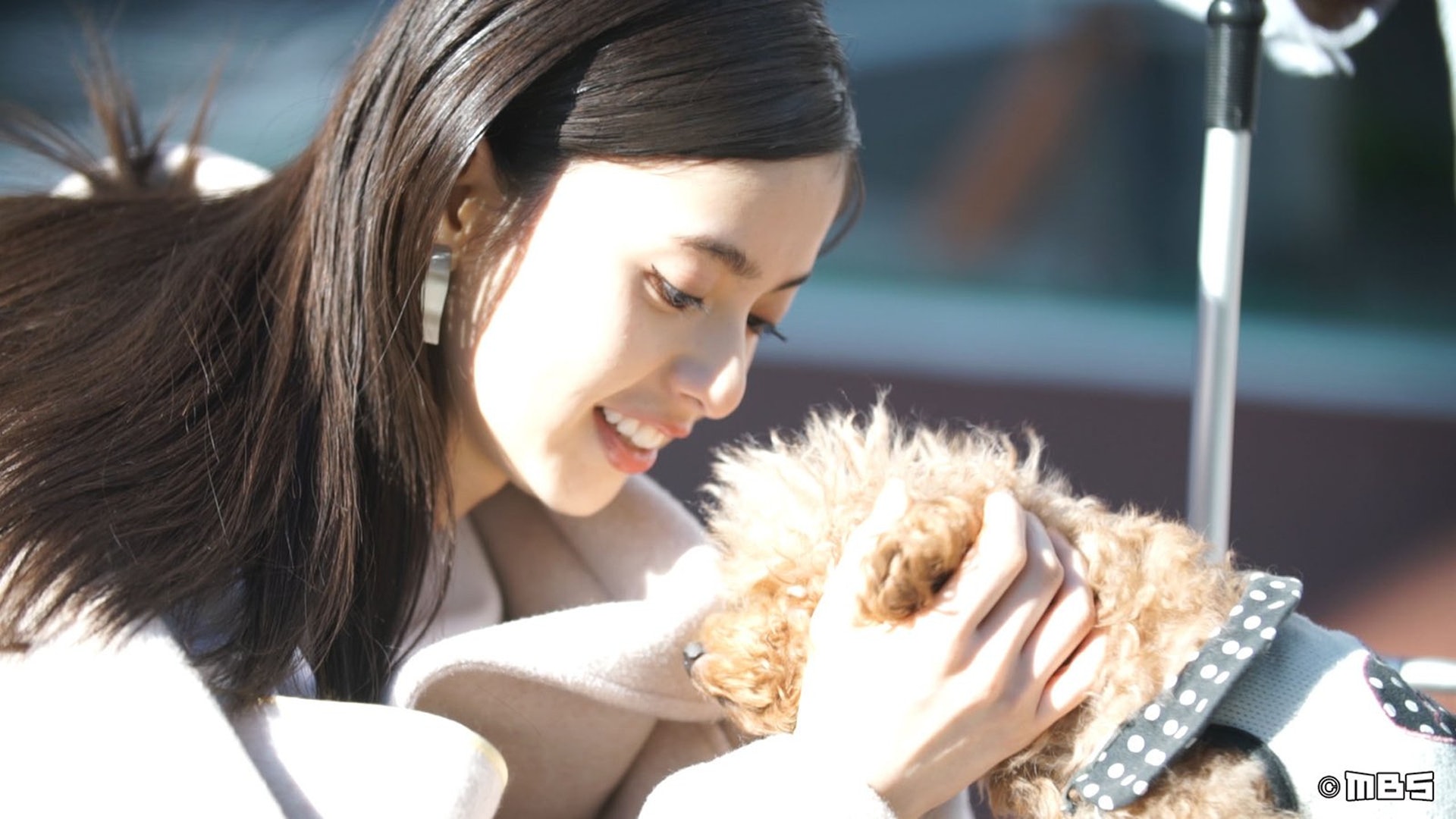乃木坂46齋藤飛鳥 女團一姐唔易做 情熱大陸 40日貼身直擊 香港01 遊戲動漫 乃木坂46齋藤飛鳥 女團一姐唔易做 情熱大陸 40日貼身直擊 香港01 遊戲動漫