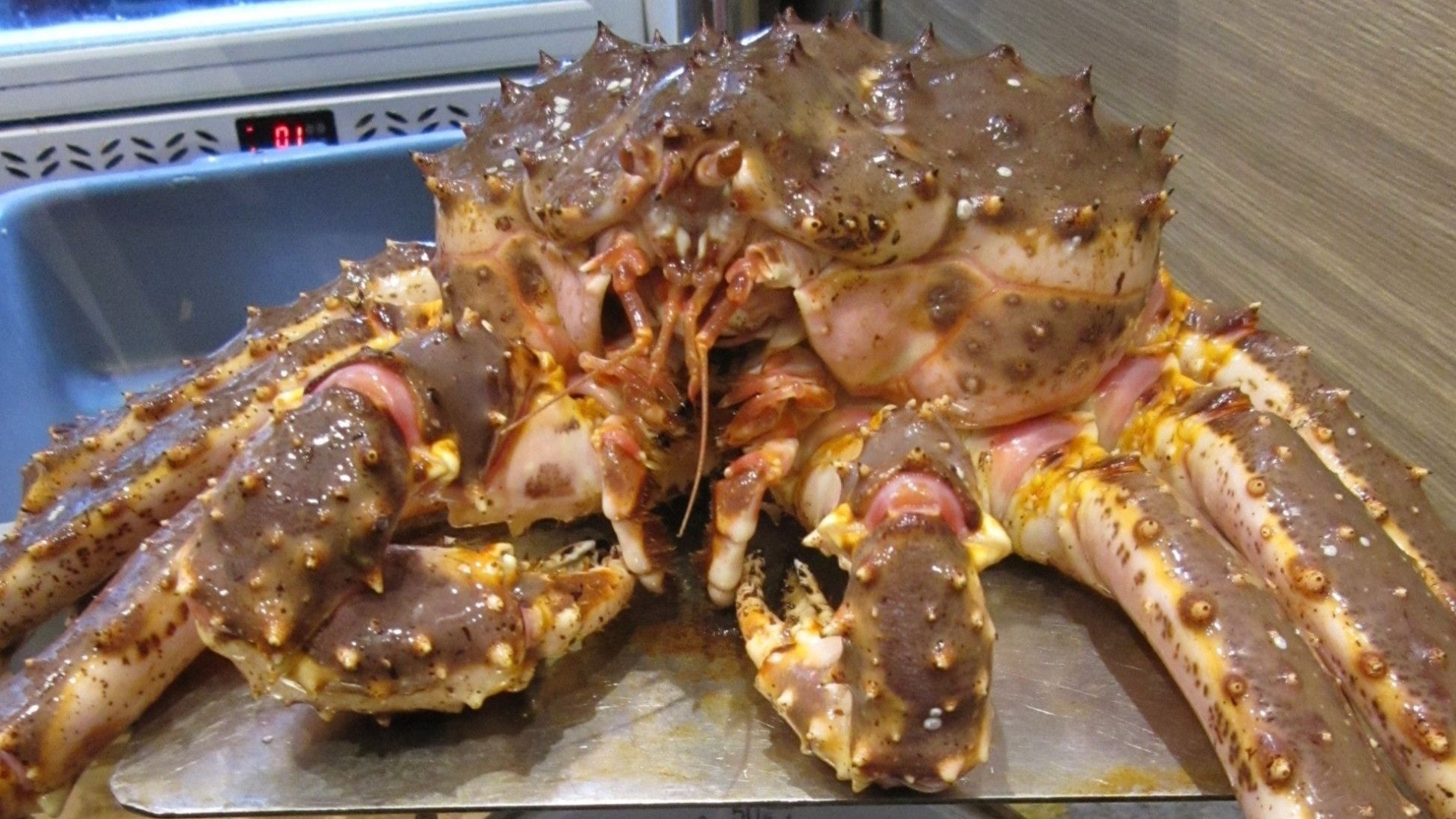 油麻地食肆涉呃枰出售亞拉斯加蟹較聲稱少逾半斤彈簧秤欠準確 香港01 社會新聞 油麻地食肆涉呃枰出售亞拉斯加蟹較聲稱少逾半斤彈簧秤欠準確 香港01 社會新聞