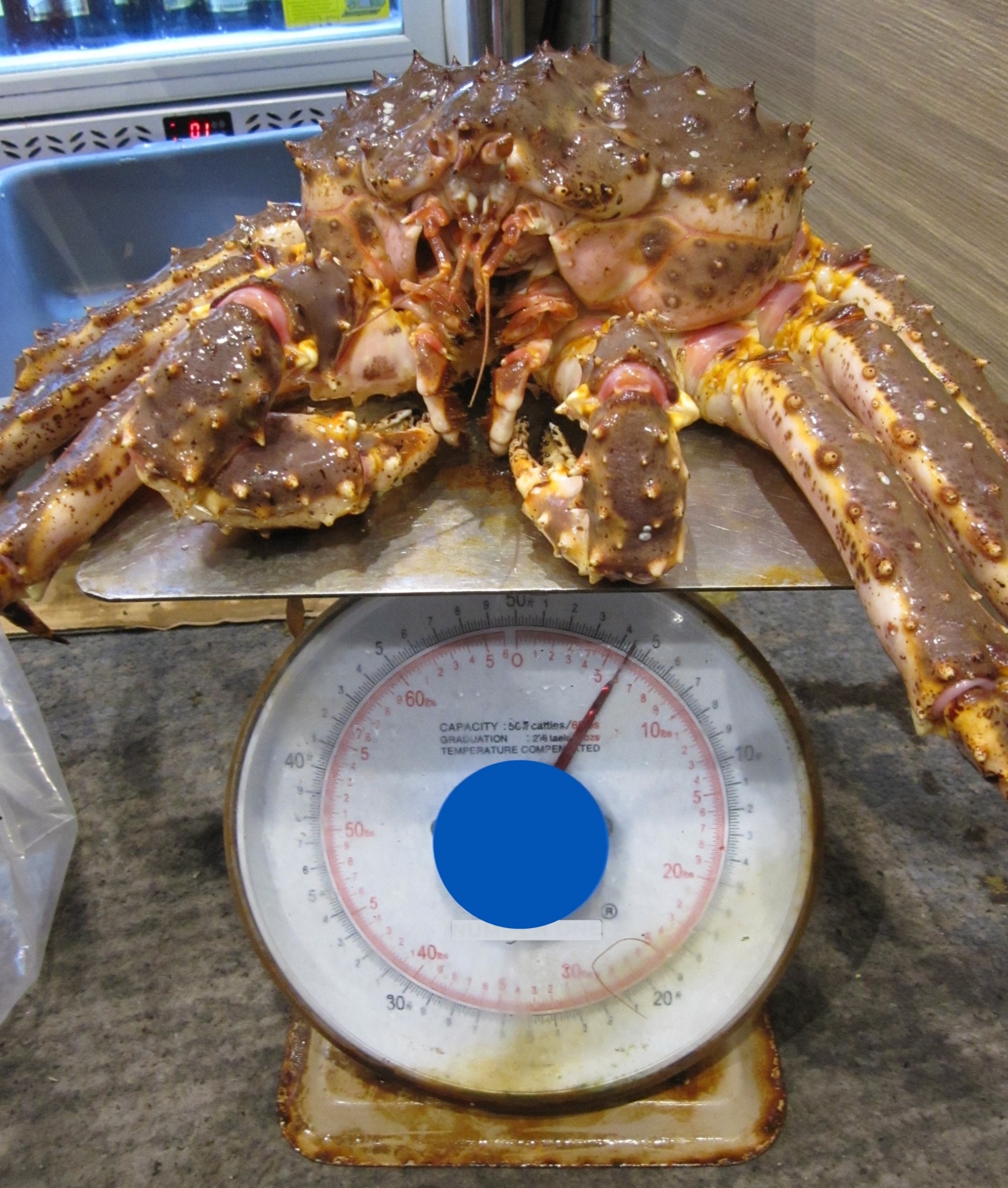 油麻地食肆涉呃枰出售亞拉斯加蟹較聲稱少逾半斤彈簧秤欠準確 香港01 社會新聞