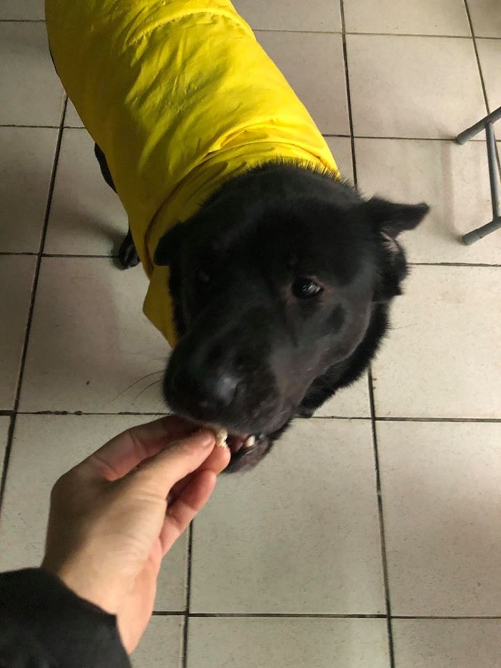 (阿棍屋) (阿棍屋)