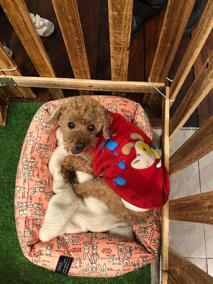 (阿棍屋) (阿棍屋)