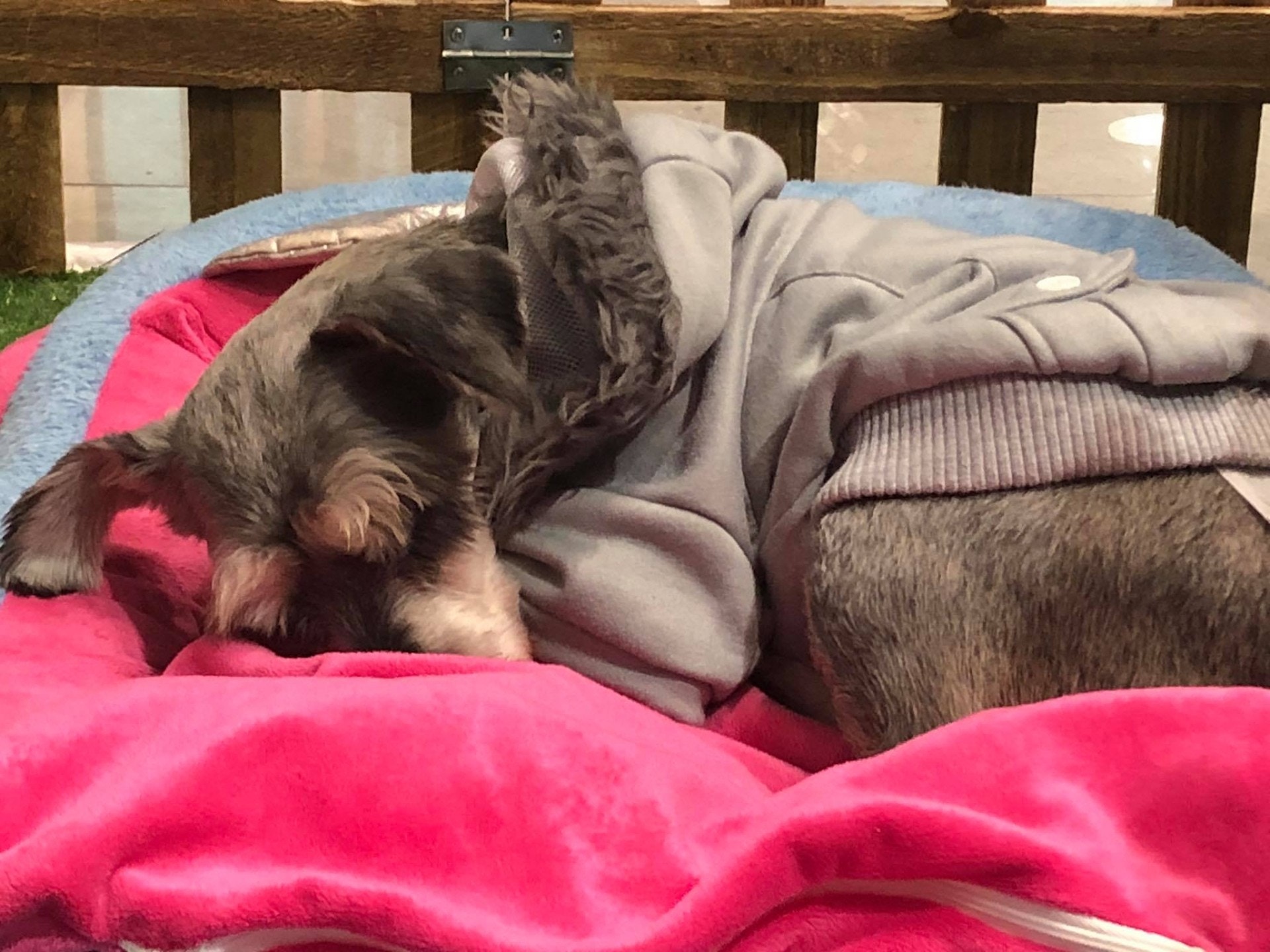 (阿棍屋) (阿棍屋)