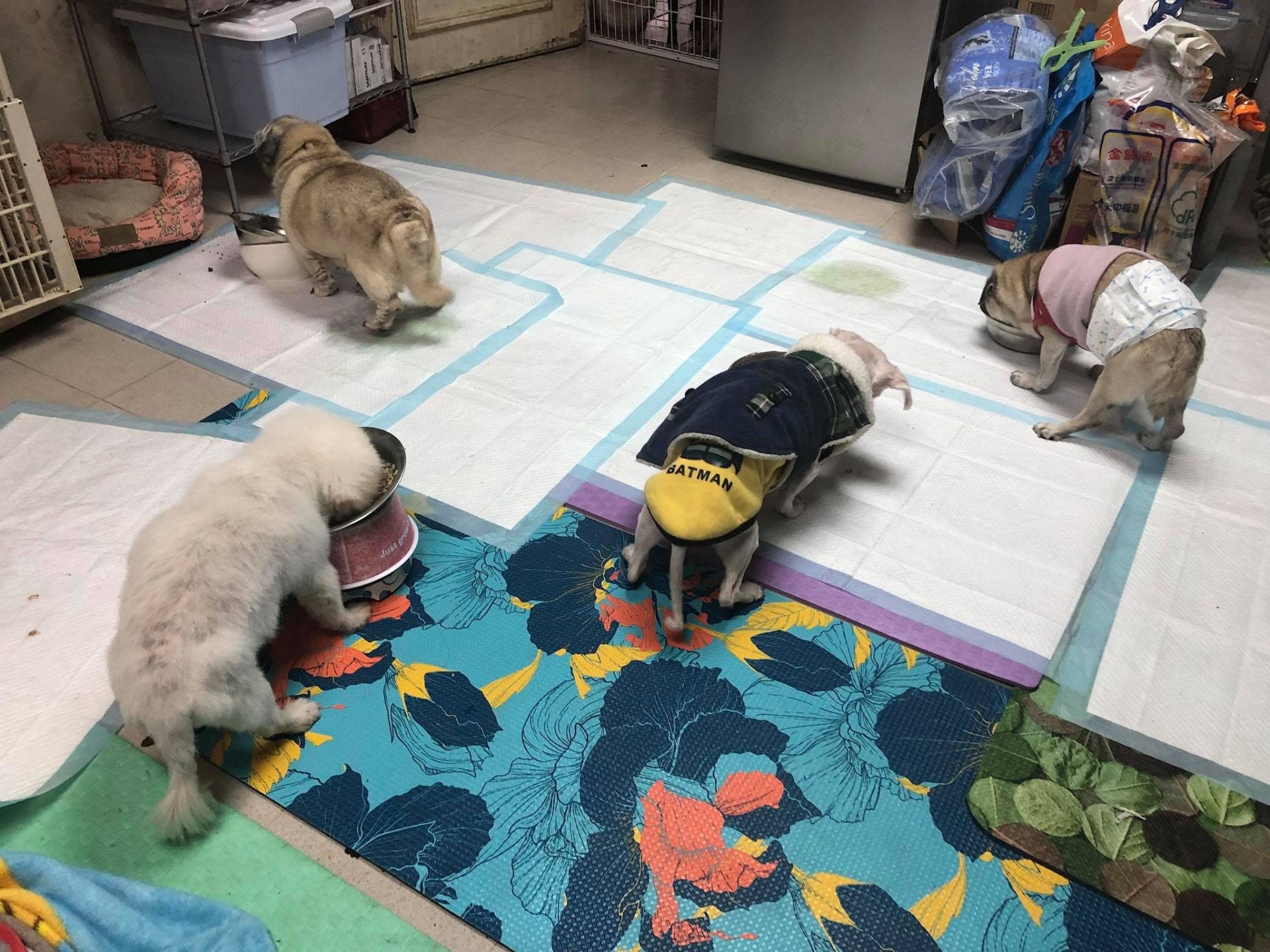 (阿棍屋) (阿棍屋)