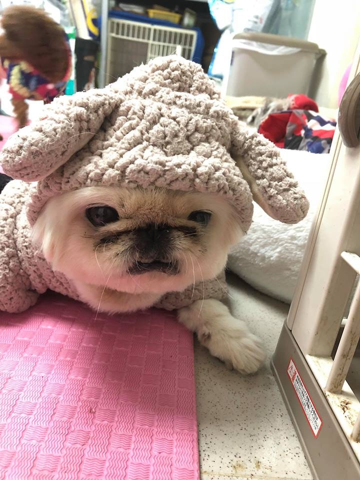 (阿棍屋) (阿棍屋)