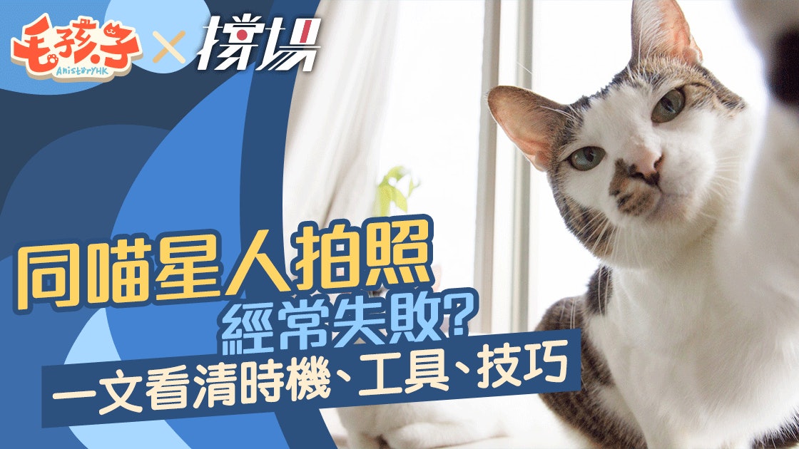 貓貓攝影 如何替貓星人拍下最萌一面攝影入門指南公開 貓貓攝影 如何替貓星人拍下最萌一面攝影入門指南公開