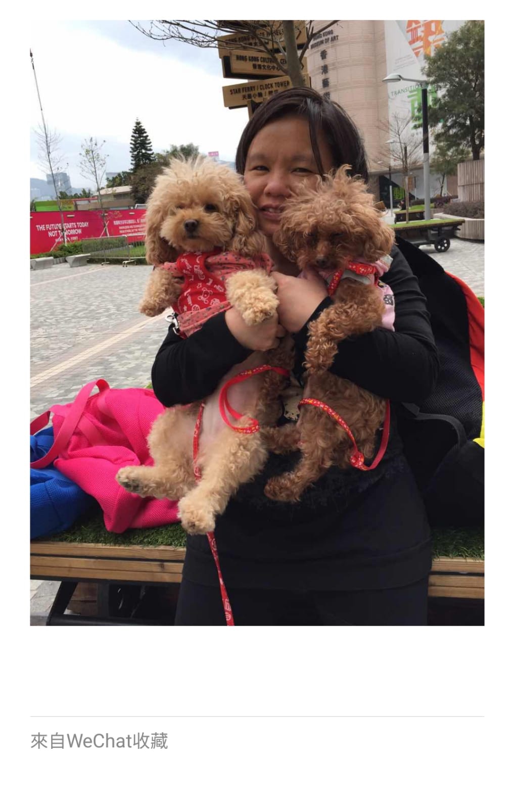 杜女士接受訪問憶起與狗狗之間往事時,不禁哽咽。(受訪者提供) 杜女士接受訪問憶起與狗狗之間往事時,不禁哽咽。(受訪者提供)