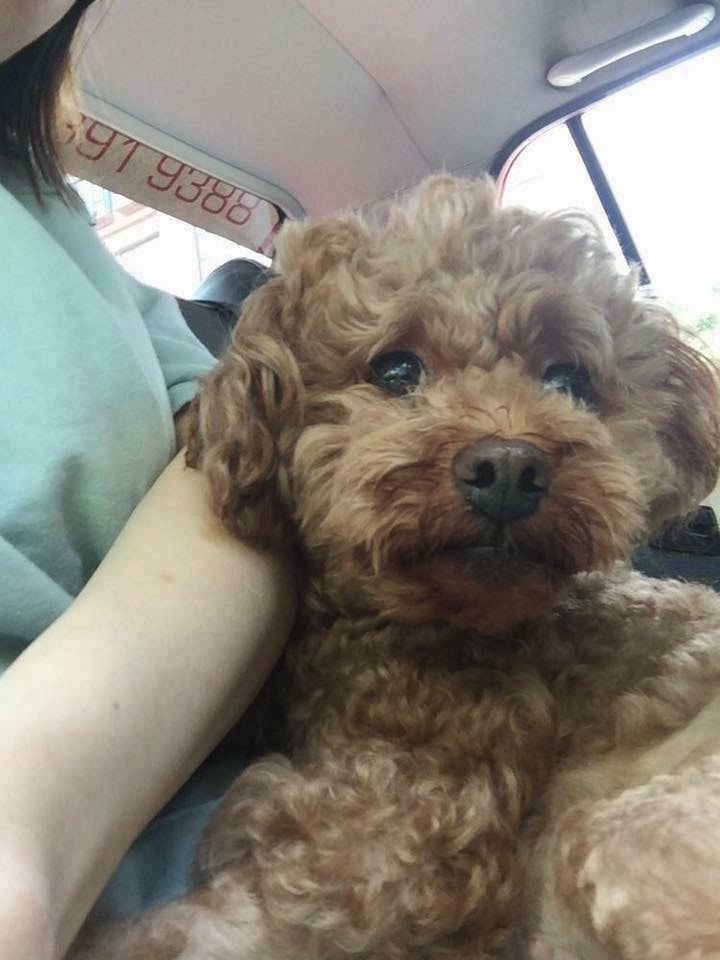 (FB@Dora La) (FB@Dora La)