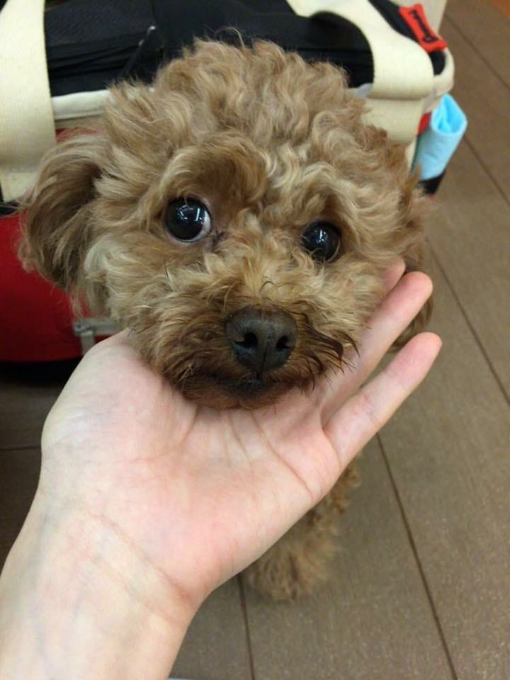 (FB@Dora La) (FB@Dora La)