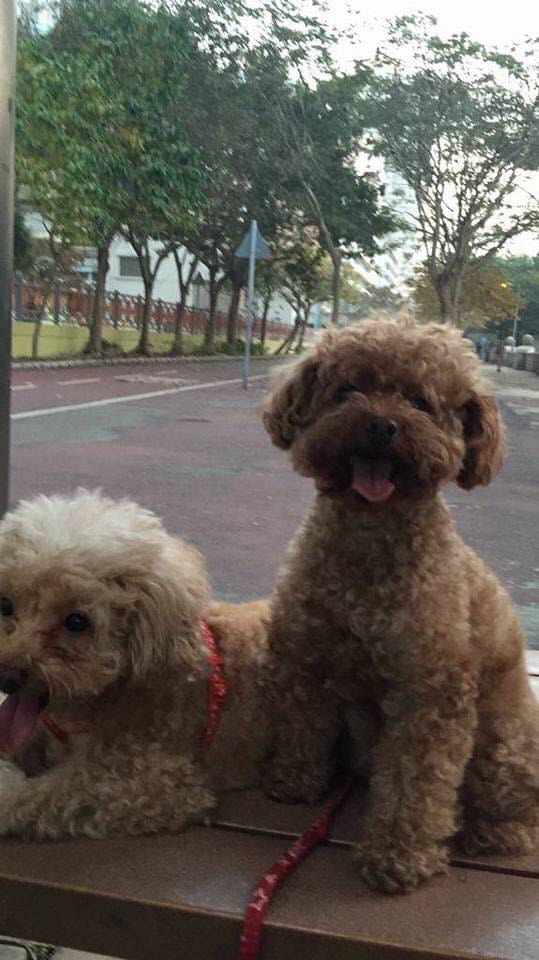 (FB@Dora La) (FB@Dora La)