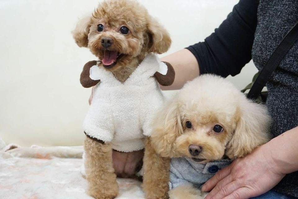 (FB@Dora La) (FB@Dora La)