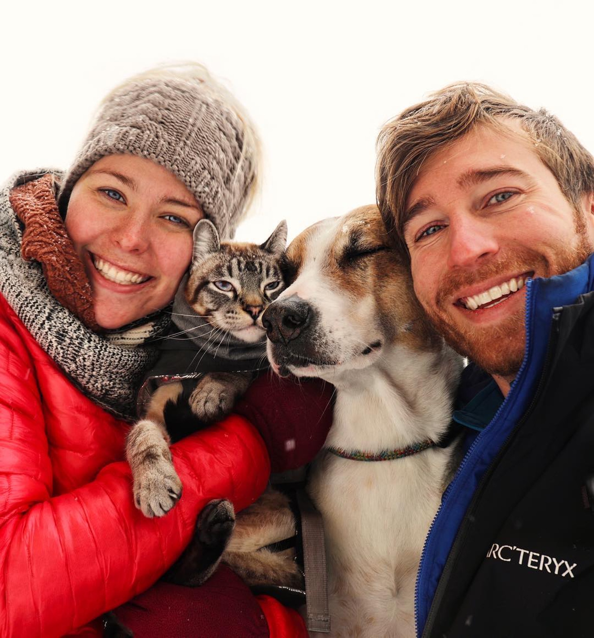 寵主Cynthia Bennett和Andre Sibilsky經常會帶著狗狗Henry和貓貓Baloo旅行遠足。（Instagram：henrythecoloradodog）