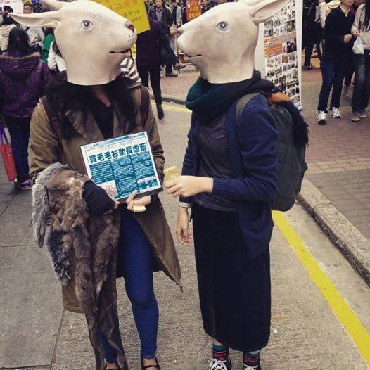 小隊出動到旺角,戴上動物頭套傳達訊息(受訪者提供) 小隊出動到旺角,戴上動物頭套傳達訊息(受訪者提供)