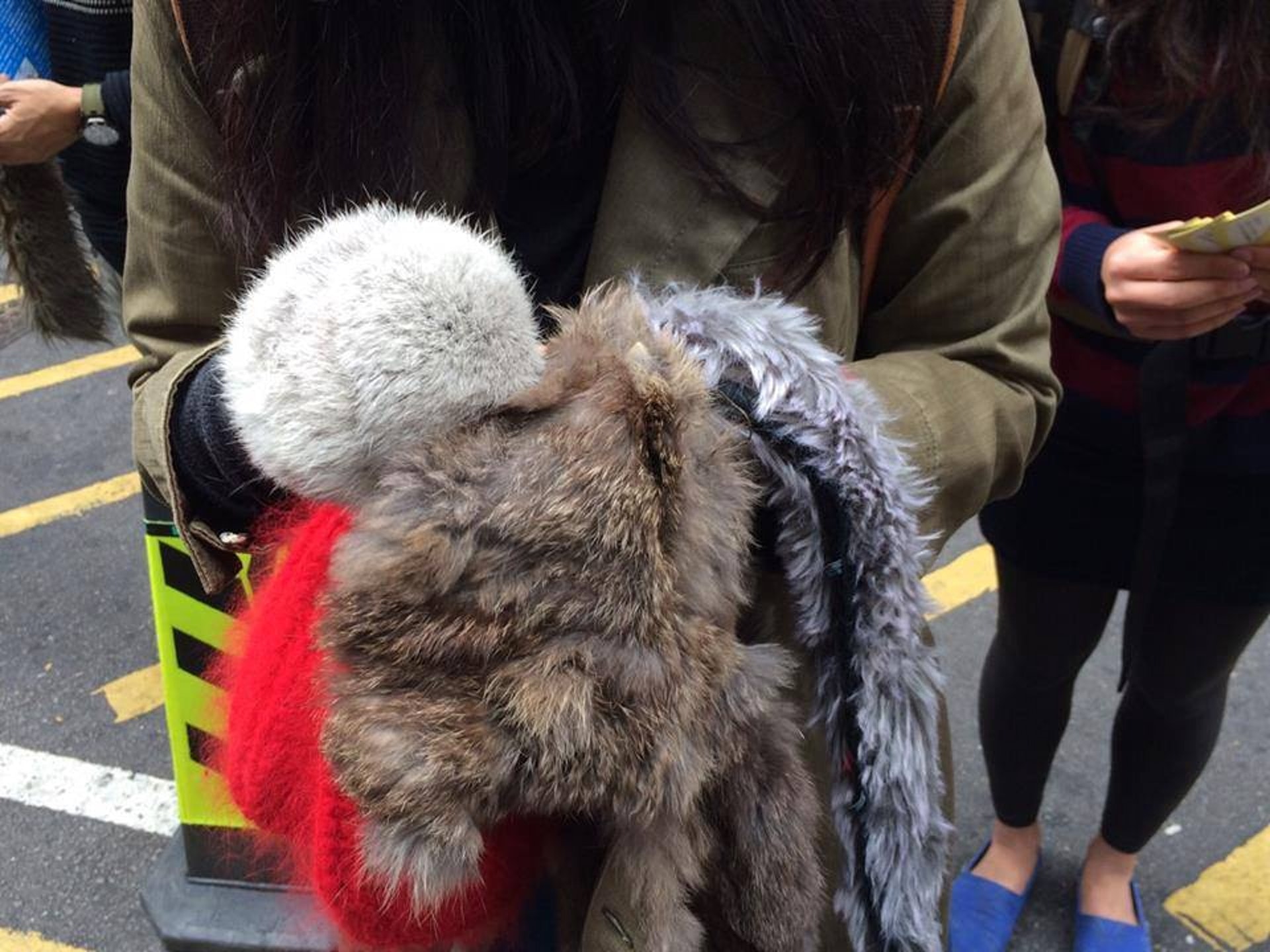 她們也帶了真、假皮草,教人們分真假(受訪者提供) 她們也帶了真、假皮草,教人們分真假(受訪者提供)